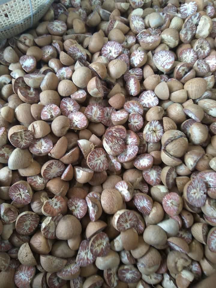 BETEL NUT / ARECA NUT